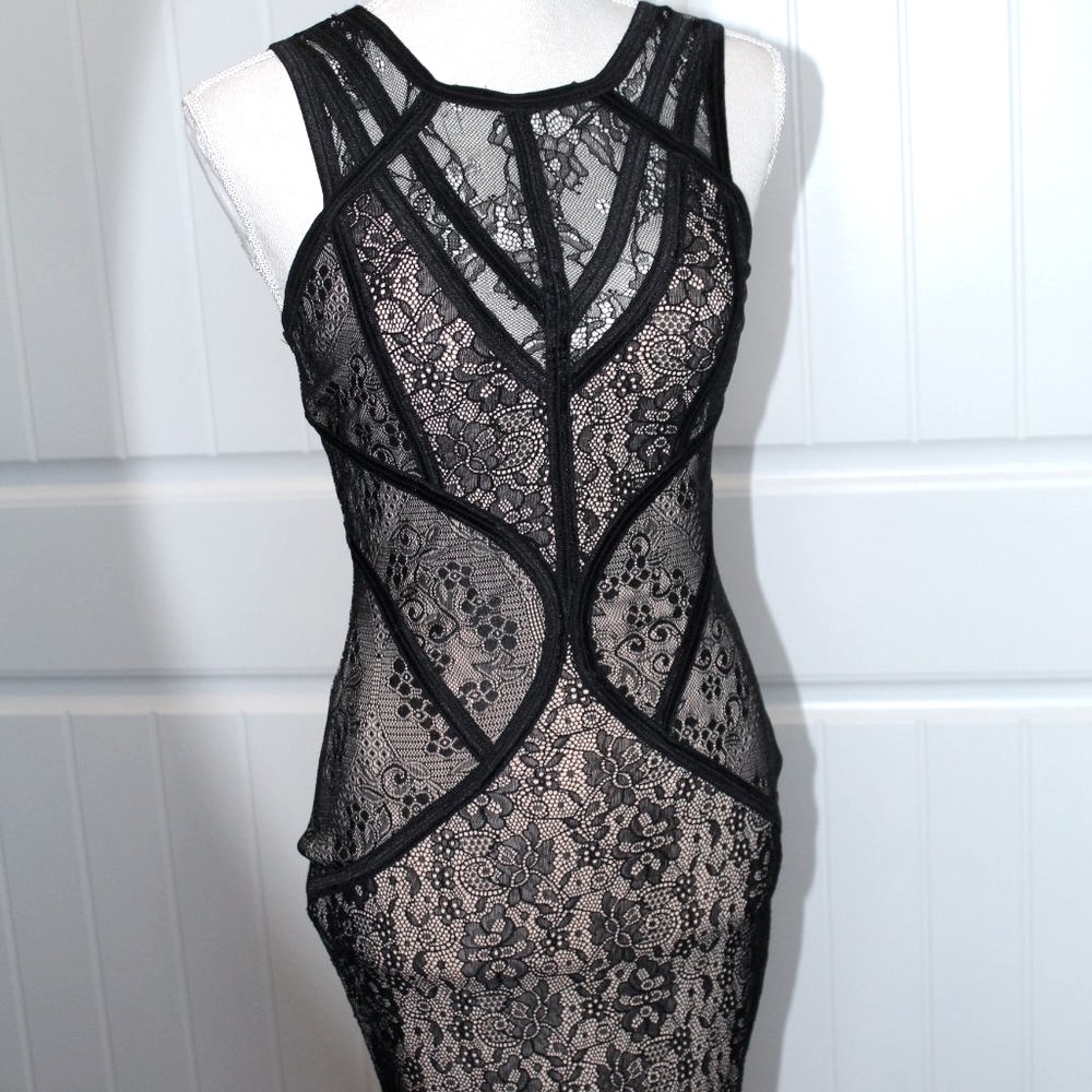 Beautiful Black Lacy Fitted Dress